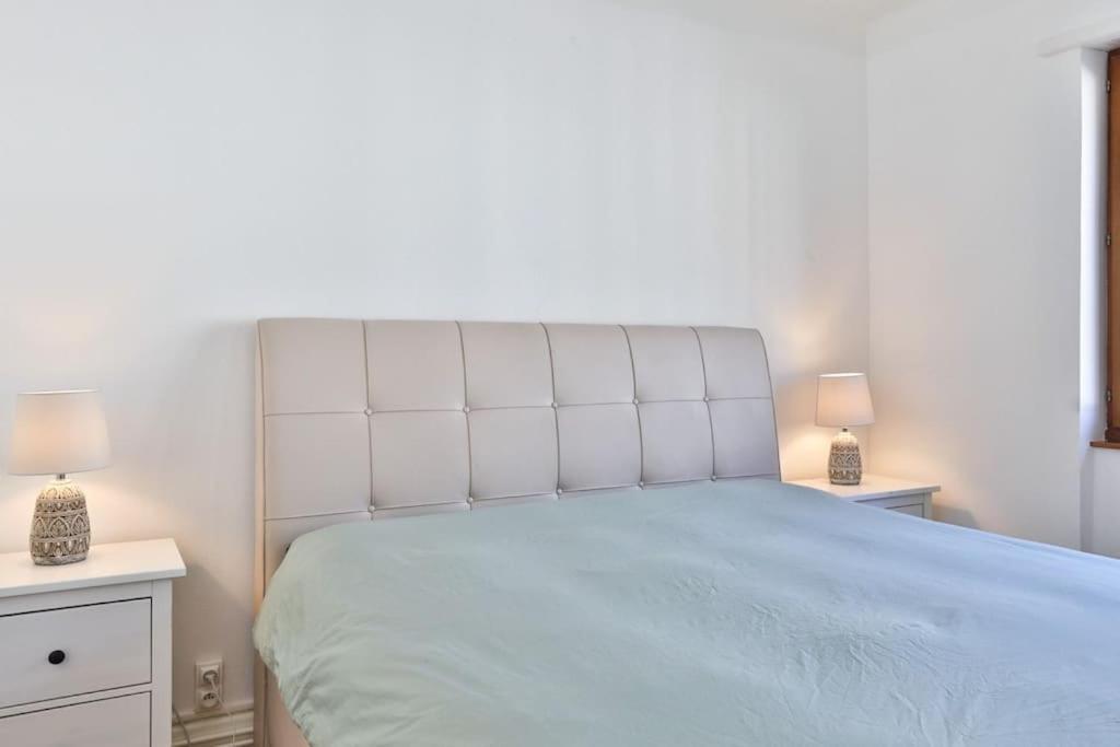 Suite Tres Moderne Et Cosy, Proche Centre-Ville, Mulhouse Centre Екстер'єр фото