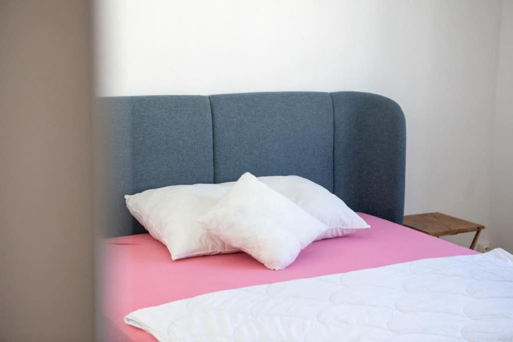 Suite Tres Moderne Et Cosy, Proche Centre-Ville, Mulhouse Centre Екстер'єр фото